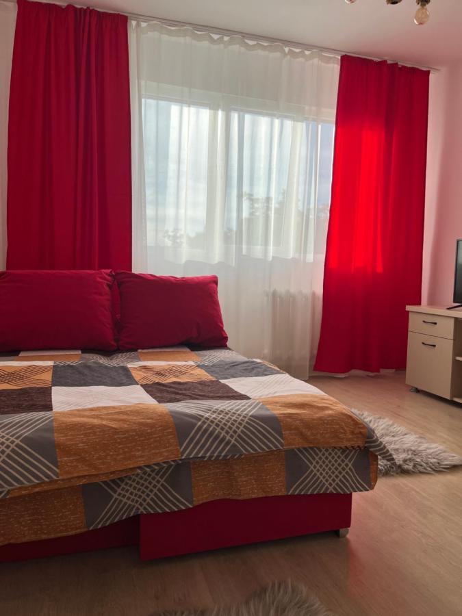 Apart Uta 2 Appartamento Arad Esterno foto